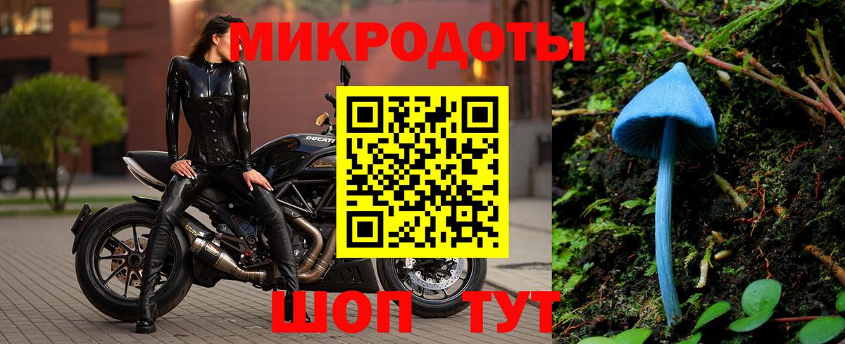 Галлюциногенные грибы Cubensis Киржач