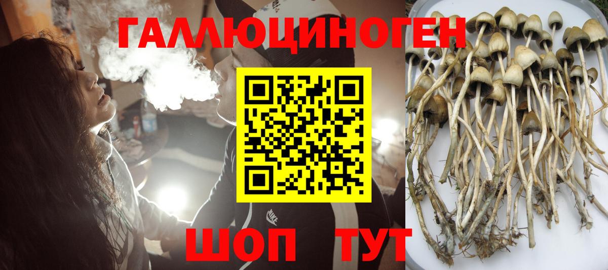 Галлюциногенные грибы Magic Shrooms  Псилоцибиновые грибы прущие грибы  Киржач  Вход с VPN 